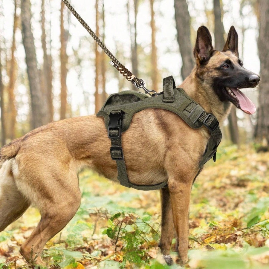 Reflective No Pull Dog Harness - Medium, Easy Walk, Adjustable