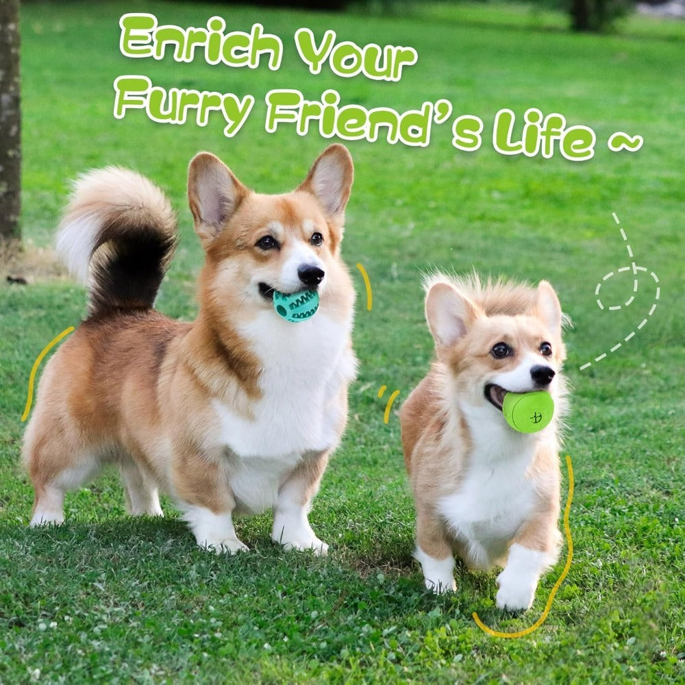 Dog Treat Dispensing Ball - Interactive Teething & Training Toy