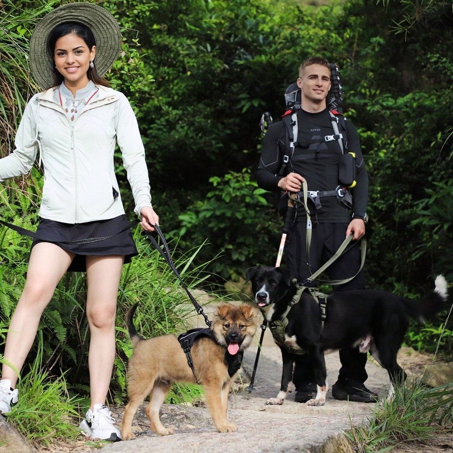 Reflective No Pull Dog Harness - Medium, Easy Walk, Adjustable