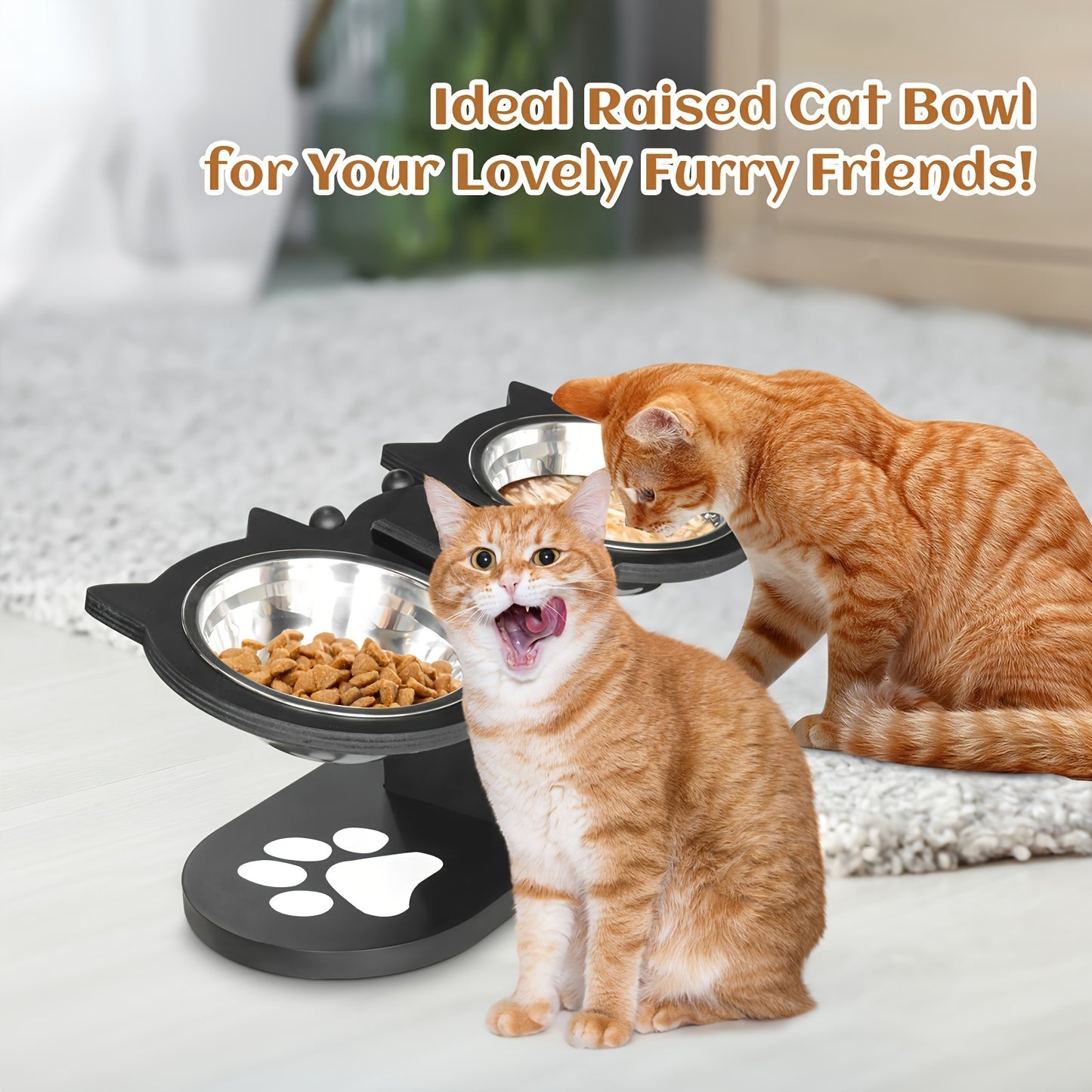 Raised Cat Food Bowls 15° Tilted, 3 Stainless Steel Bowls