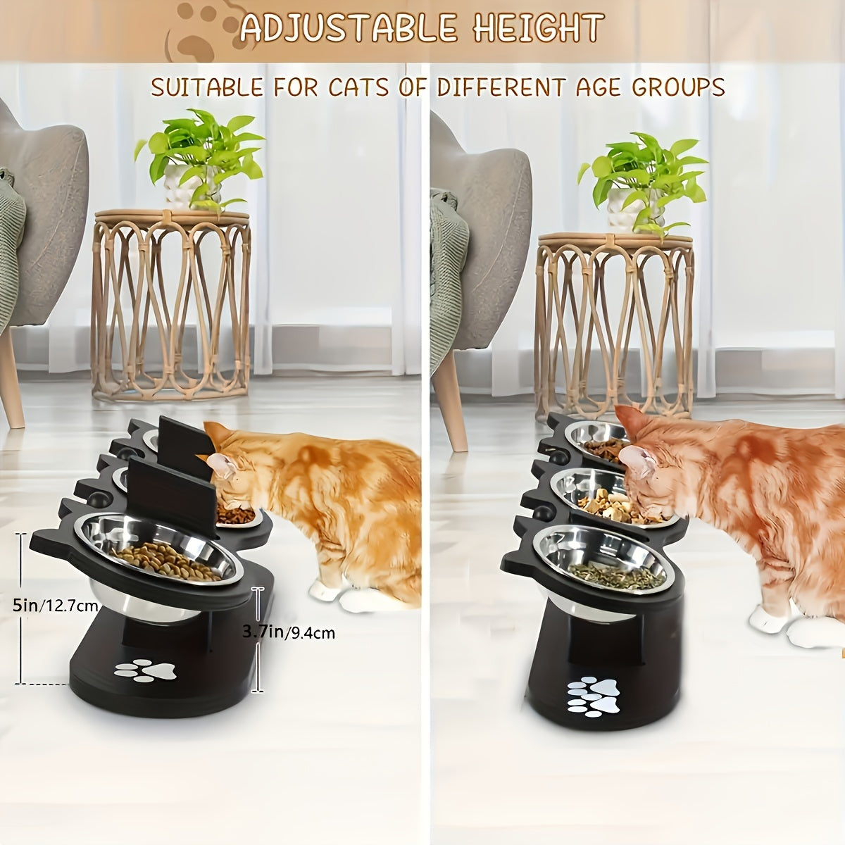Raised Cat Food Bowls 15° Tilted, 3 Stainless Steel Bowls