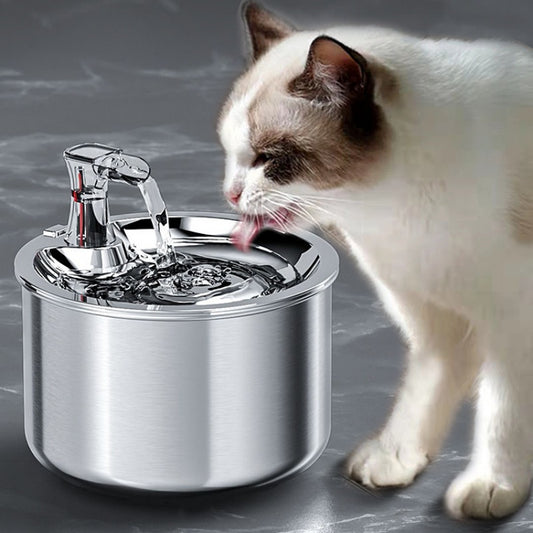 2L Stainless Pet Water Dispenser - Automatic Fountain & Heater