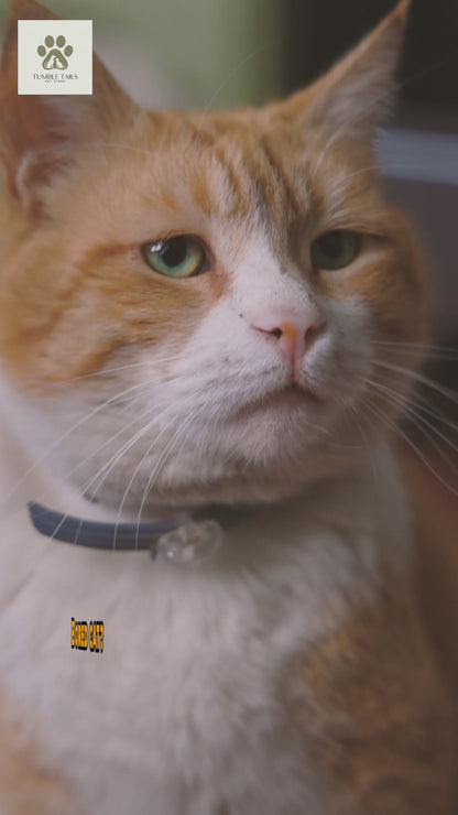 Rocket-Shaped Cat Tree Modern Wooden Tower for Indoor Cats